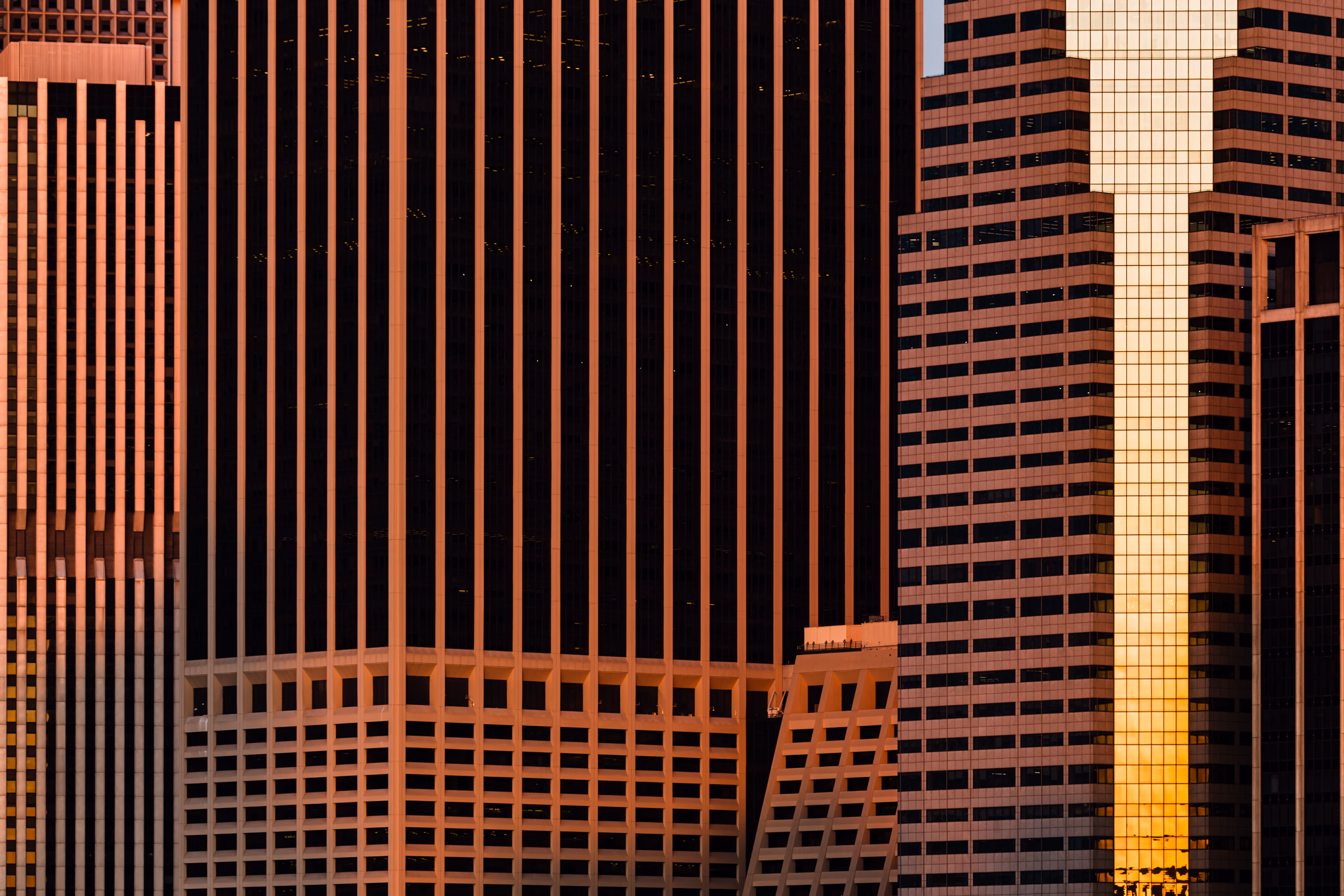 Skyscrapers at sunrise (New York City, United States)