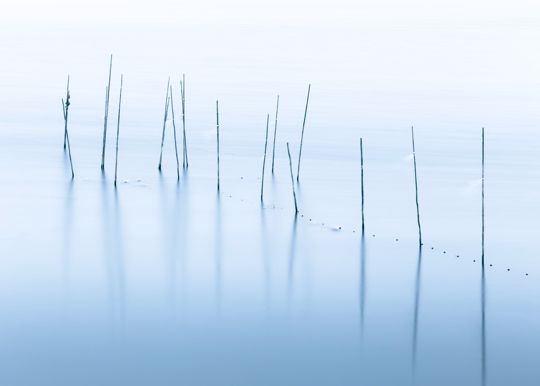 Poles in water (Berlin, Germany)