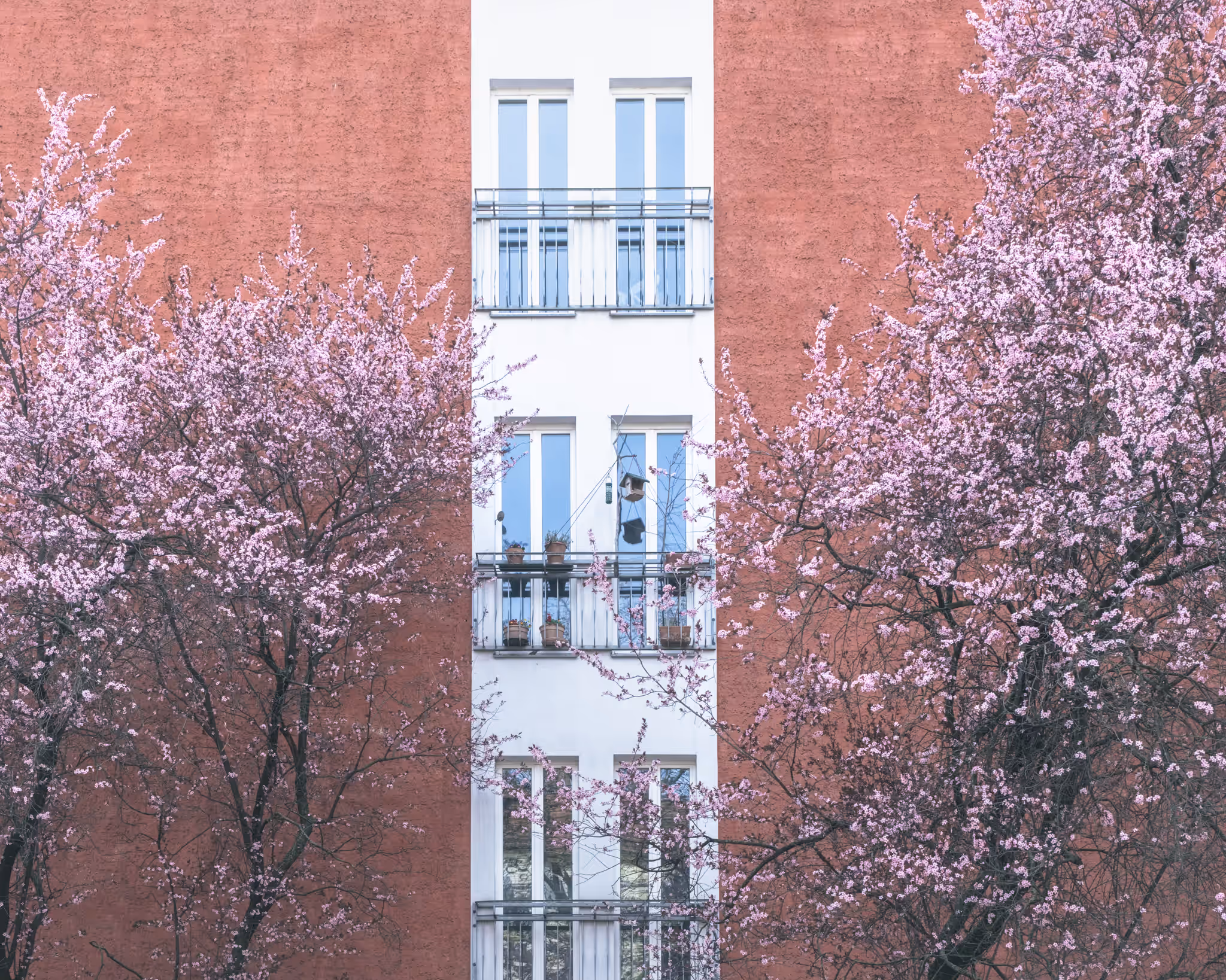 Spring in Berlin (Berlin, Germany)